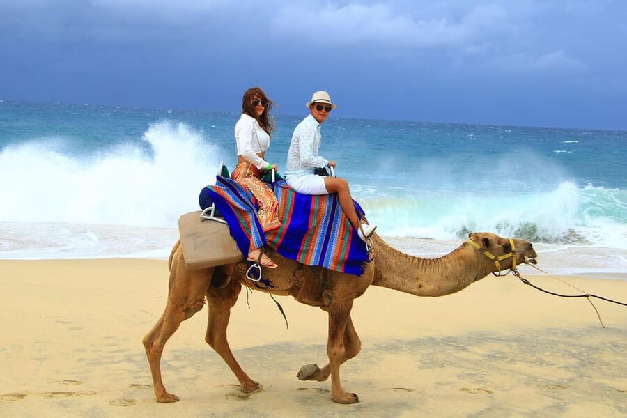 Cabo San Lucas: Camel Ride on the Beach - The camel ride itself: learning control, then getting close