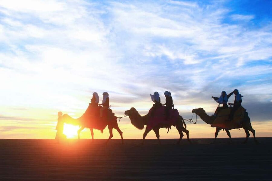 Cabo San Lucas: Camel Ride on the Beach - Price and real value: counting the full cost