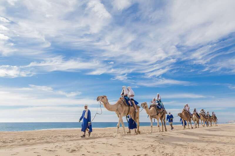 Cabo San Lucas: Camel Safari Tour with Lunch and Tequila - A Secluded Ocean-View Ranch Start for Your Cabo Camel Safari