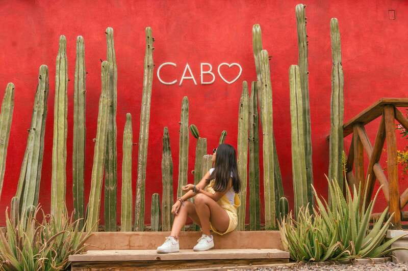 Cabo San Lucas: Camel Safari Tour with Lunch and Tequila - The 20-Minute Beach Camel Ride: Sea Air, Rules, and Whales in Winter