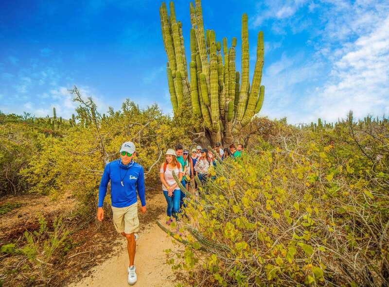 Cabo San Lucas: Camel Safari Tour with Lunch and Tequila - Who Should Go, Who Should Skip