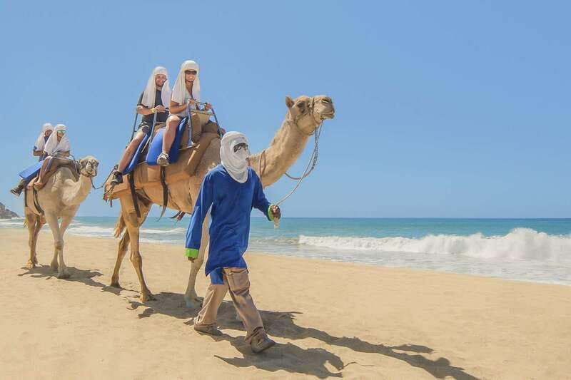 Cabo San Lucas: Camel Safari Tour with Lunch and Tequila - Short Desert Hike Through a Turtle Breeding Area