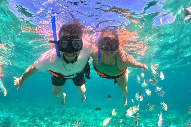 Cabo San Lucas Catamaran Cruise: Snorkel or Sunset Adventure - Sunset Cruise: El Arco in the golden hour