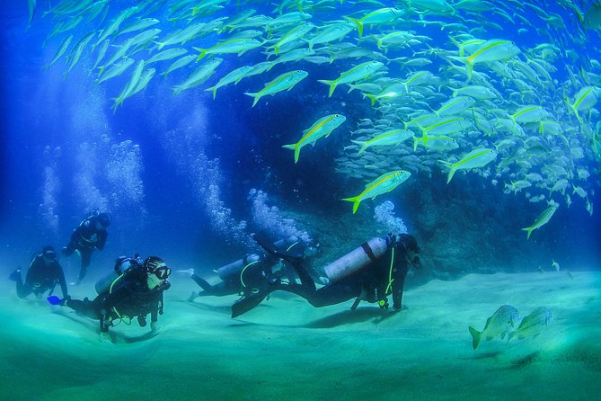 Cabo San Lucas Certified 2 Tank Dive at the Famous Arch and Land's End - Key Things That Make This Trip Click