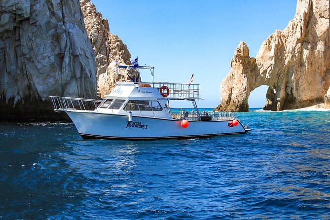 Cabo San Lucas Certified 2 Tank Dive at the Famous Arch and Land's End - Underwater at El Arco: What You Can Expect to See