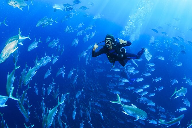 Cabo San Lucas Certified 2 Tank Dive at the Famous Arch and Land's End - On the Water: What the Boat Ride Adds (Besides Waves)