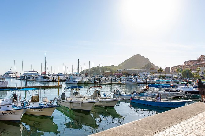 Cabo San Lucas City Tour - Key things I’d zero in on