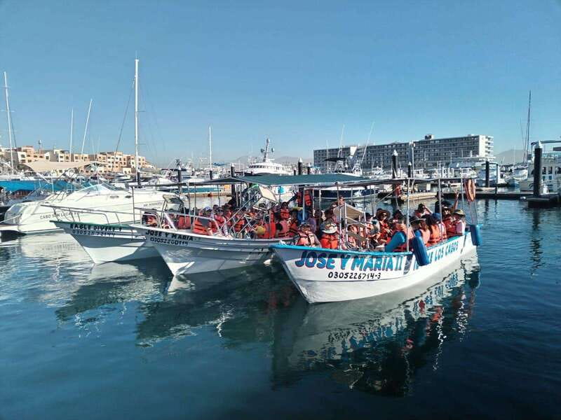 Cabo San Lucas: Classic Tour to the Arch in Glass Bottom - Key things to know before you go