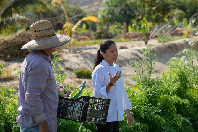 Cabo San Lucas Cooking Classes by Chef Ari - Who should book this Cabo cooking class