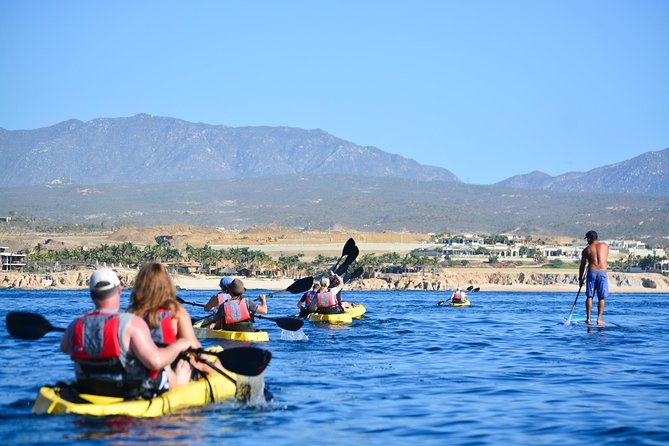 Cabo San Lucas Glass Bottom Kayak Tour and Snorkel at Two Bays - The glass-bottom kayak reality: cool view, but not magic