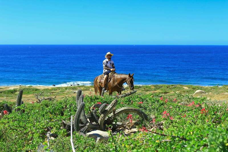 Cabo San Lucas: Horseback Riding in Migriño with Transfers - Price and value: what $87 really buys you