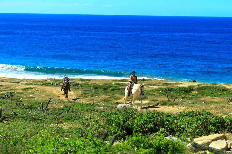 Cabo San Lucas: Horseback Riding in Migriño with Transfers - Arriving in Migriño: welcome, briefing, then straight onto trails