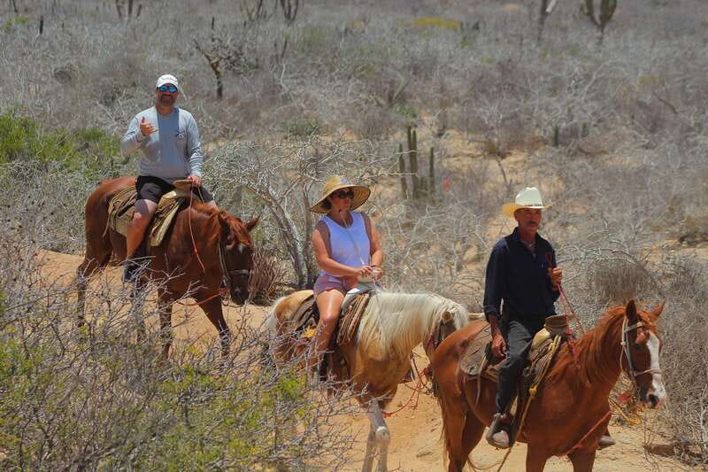 Cabo San Lucas: Horseback Riding in Migriño with Transfers - The desert-to-beach route: the heart of the day