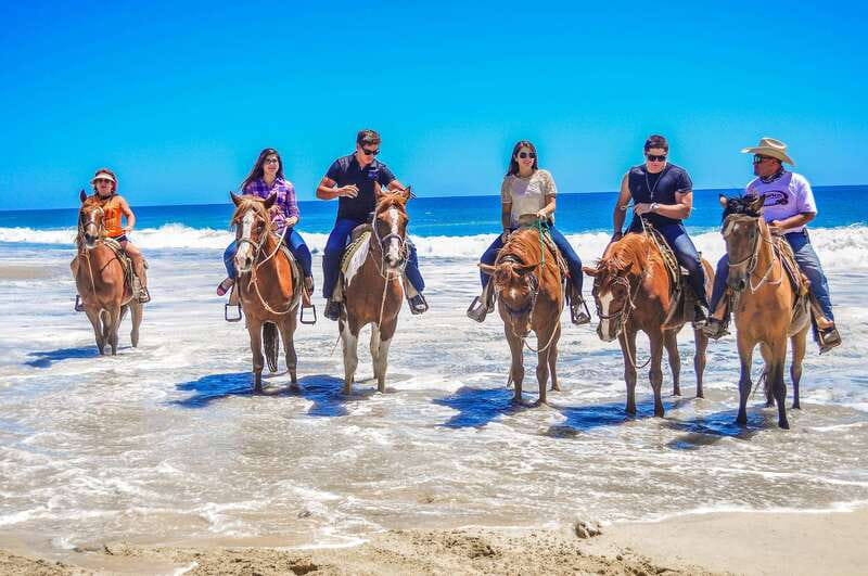 Cabo San Lucas: Horseback Riding in Migriño with Transfers - The largest seashore viewpoint: why this stop is worth it