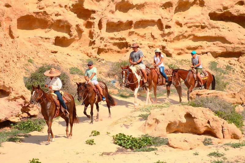 Cabo San Lucas: Horseback Riding in Migriño with Transfers - Transfers back to Cabo: the ride ends, but you’ll want one last look
