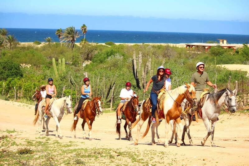 Cabo San Lucas: Horseback Riding in Migriño with Transfers - Pickup and ride over: the easy start you want in Cabo