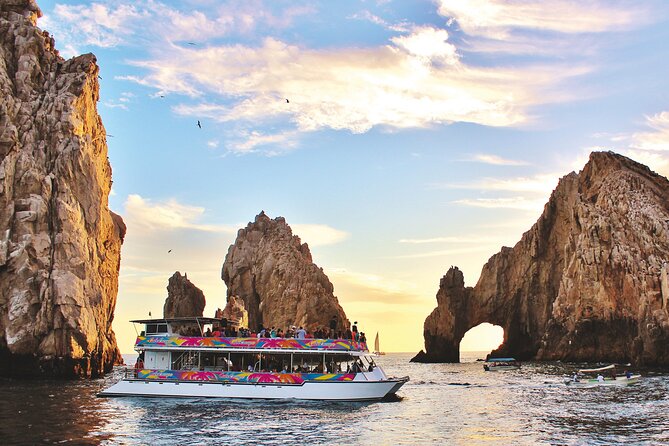 Cabo San Lucas Humpback Whale Watching Tour - Marine biologist commentary: what you should listen for during sightings