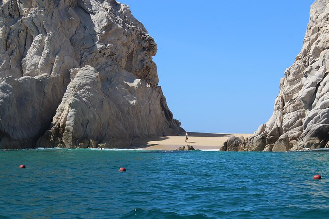 Cabo San Lucas Humpback Whale Watching Tour - Price and value: $99 plus the $5 dock fee
