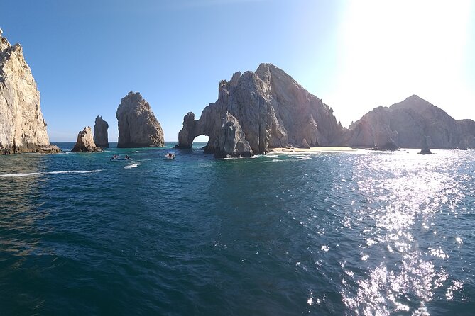Cabo San Lucas Humpback Whale Watching Tour - Pickup and meeting point: plan your timing so you don’t stress