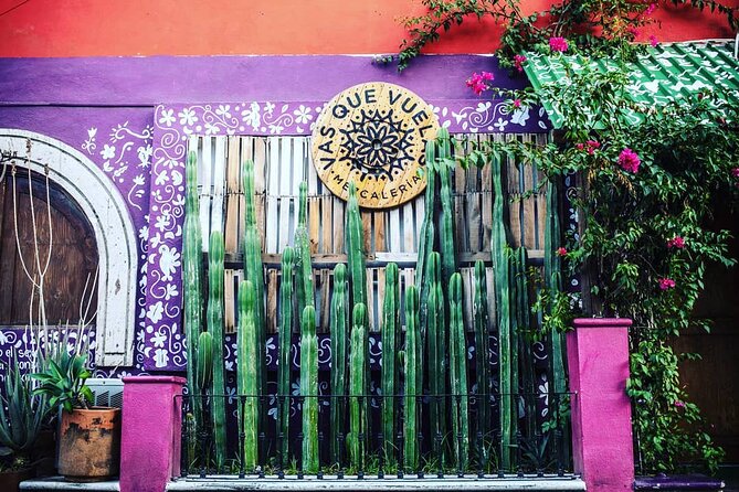 Cabo San Lucas Mezcal Tasting and Cocktail Class - Food Pairings That Actually Help You Taste Better
