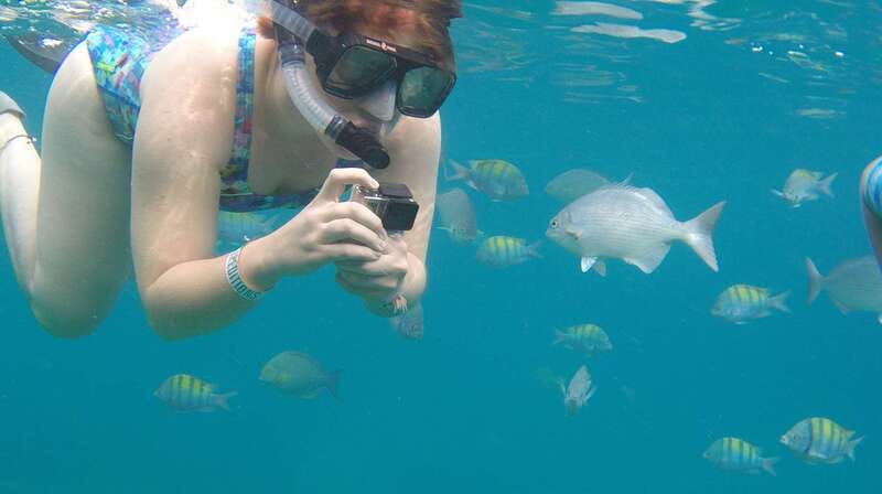 Cabo san Lucas: Paddle Boarding or Kayak and Snorkeling - Price and Value: Is $78 for 2 Hours Reasonable?
