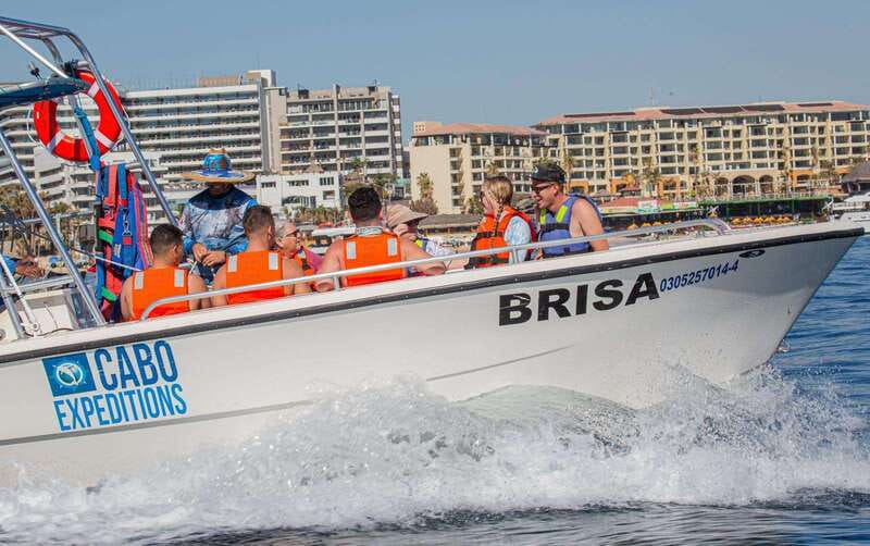 Cabo San Lucas: Parasailing Experience - Small group comfort and bilingual guides
