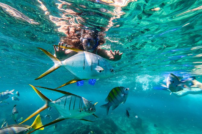 Cabo San Lucas Shopping, Tequila Tasting, and Snorkel Tour - How This Cabo Combo Tour Fits Into a 6-Hour Day