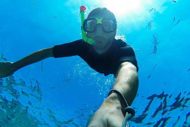 Cabo San Lucas Short Snorkeling Tour with Divemaster Guide - Cabo San Lucas snorkeling in a protected bay: why it feels easier