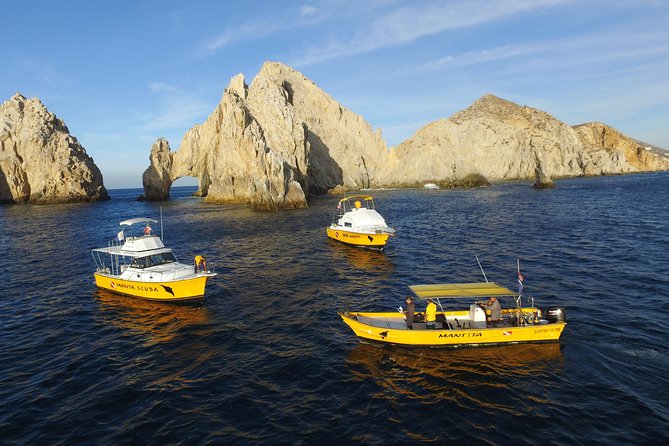 Cabo San Lucas Short Snorkeling Tour with Divemaster Guide - Guides, gear checks, and safety: what makes the experience feel professional