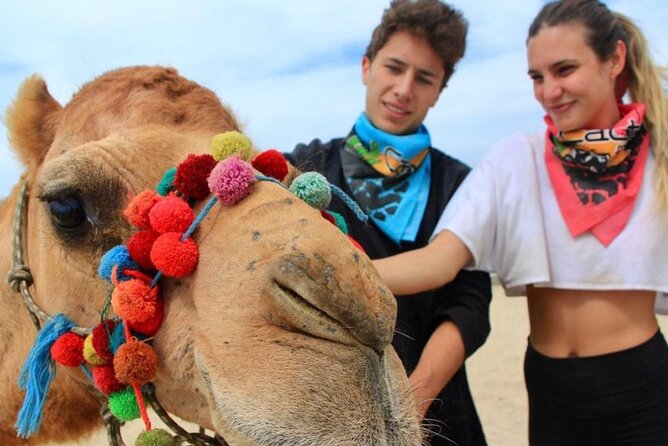 Cabo San Lucas Side by Side and Camel Riding Adventure - Quick Key Points