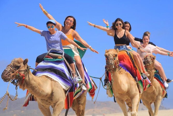 Cabo San Lucas Side by Side and Camel Riding Adventure - Camel Sanctuary Meet-and-Greet: Close Contact Without the Guesswork