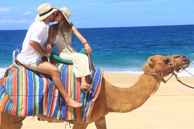 Cabo San Lucas Side by Side and Camel Riding Adventure - Price and Value: What $162 Really Covers