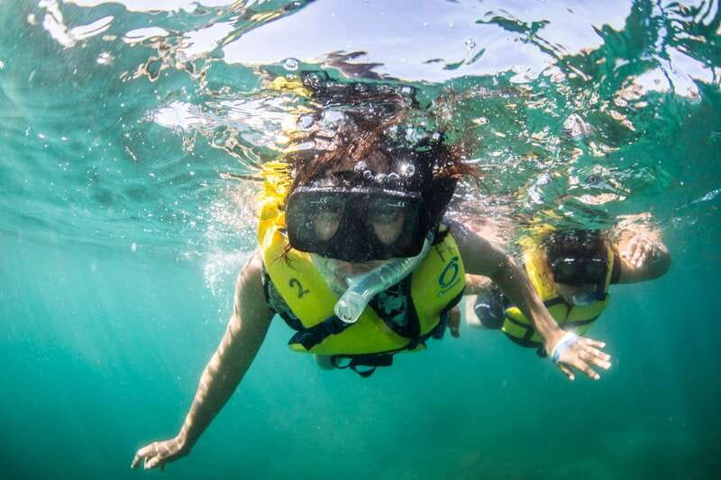 Cabo San Lucas: Snorkel, Lunch and Sail Experience - Cabo San Lucas start: where you’ll meet the crew and get moving