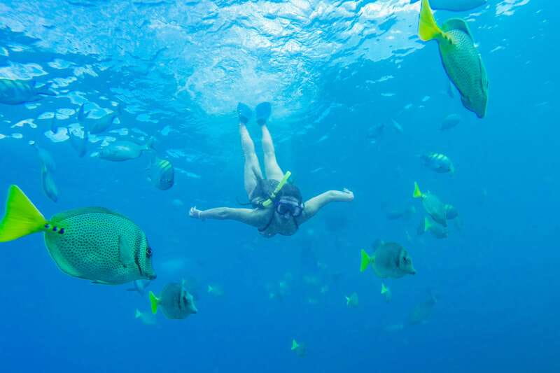 Cabo San Lucas: Snorkel, Paddle-board, and/or Kayak Tour - Key things to know before you go