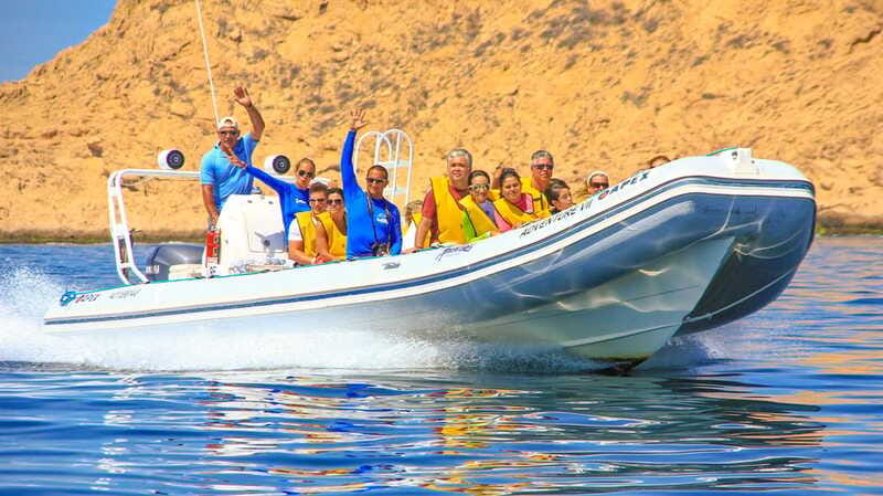 Cabo San Lucas: Snorkel, Paddle-board, and/or Kayak Tour - What marine encounters are realistic (and how to set your expectations)