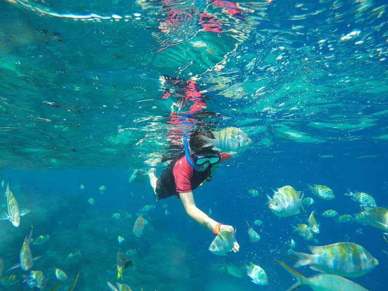 Cabo San Lucas: Snorkel, Paddle-board, and/or Kayak Tour - Pricing and logistics: where the real cost lands
