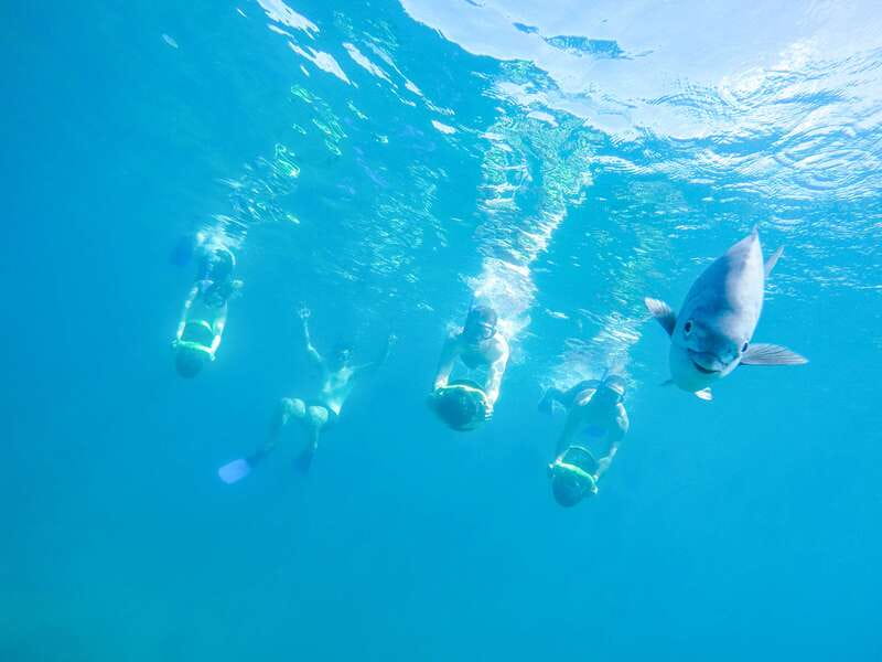 Cabo San Lucas: Snorkel, Paddle-board, and/or Kayak Tour - Your on-water menu: snorkel, kayak, paddle-board, or sea scooter