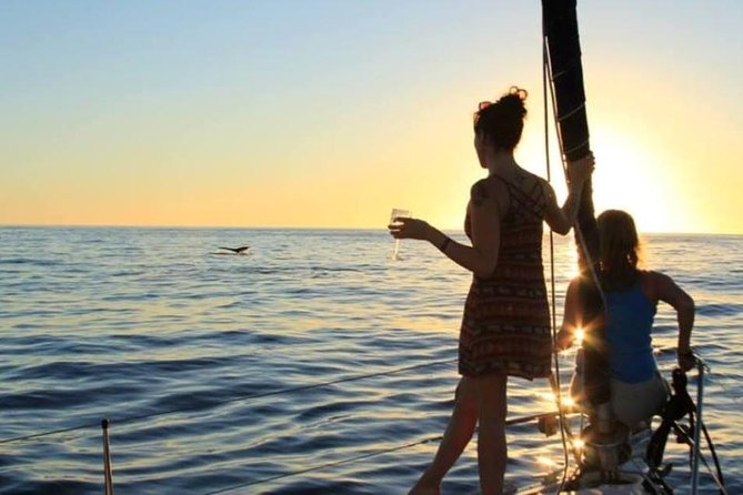 Cabo San Lucas Sunset Sailing Shared Cruise - Comfort and conditions: seating, bathrooms, and the choppy-water reality