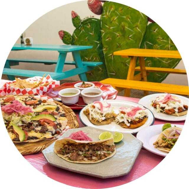 Cabo San Lucas: Taco Safari Tour - Jalisco-Style Comfort Food in a Rustic Spot