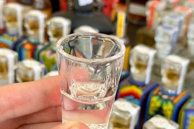 Cabo San Lucas Tequila Tasting and Mixology Class in Tasting Room - Key points to know before you go