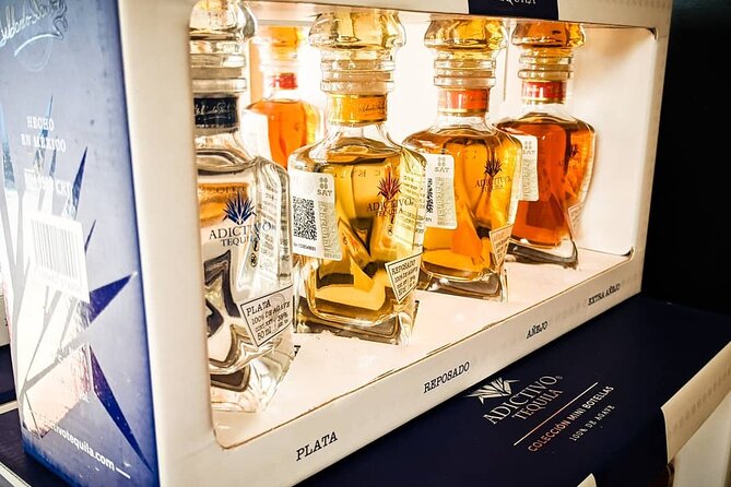 Cabo San Lucas Tequila Tasting Experience - Guides Like Juan Andres and Luis Turn It From Drinking Into Learning