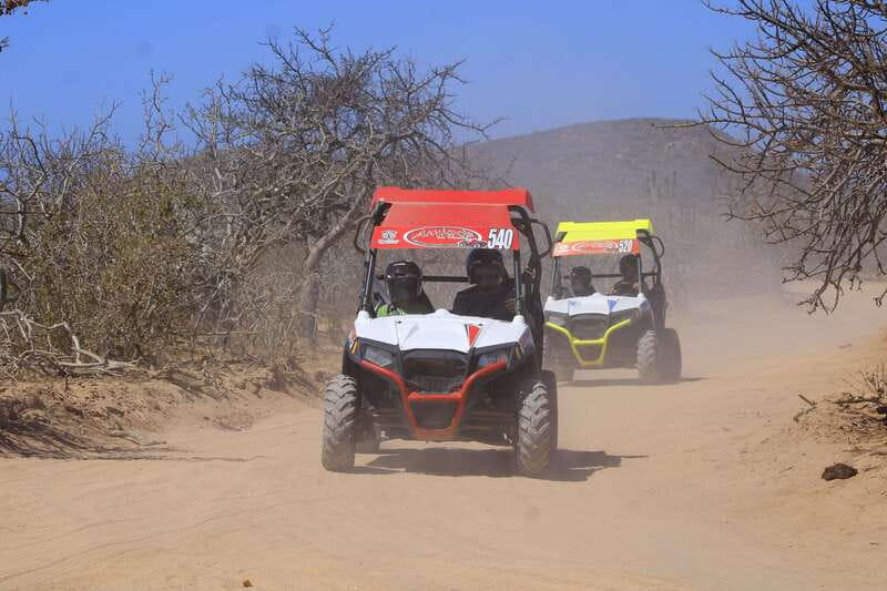 Cabo San Lucas: Tour en UTV playa desierto y tequila tasting - Baja ecology on wheels: flora, fauna, and wildflowers