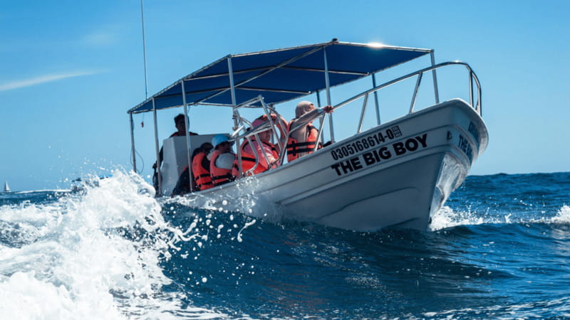 Cabo San Lucas: Tour paseo al Arco + bajada en playa - Cabo in One Hour: Why This Trip Works for a Tight Day