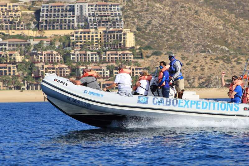 Cabo San Lucas: Up-Close Whale Watching Small-Group Tour - Zodiac speed: the “getting there fast” advantage