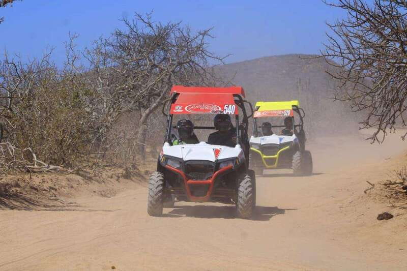 Cabo San Lucas: UTV Razor Tour of Migriño Desert and Beach - Budget Reality Check: What’s Included, What’s Not, and How Much You’ll Actually Pay