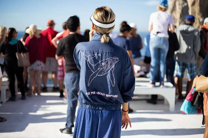 Cabo San Lucas: Whale Watching Breakfast Cruise - The 2-hour cruise plan: Arch views, coastline scenery, and whale watching