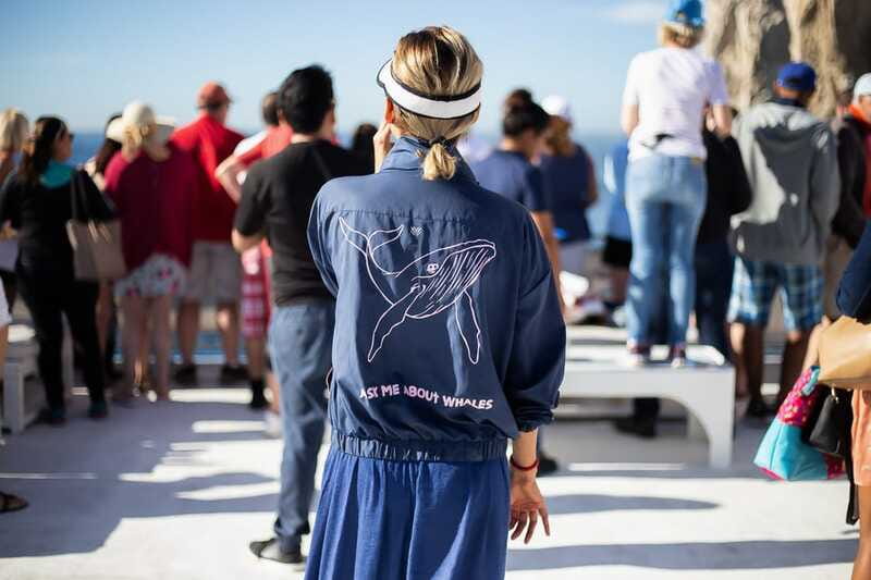Cabo San Lucas: Whale Watching Breakfast Cruise - Price and value: why $99 can make sense here