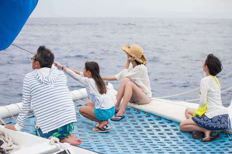 Cabo San Lucas: Whale Watching Catamaran Experience - Who this tour suits best (and who should skip it)