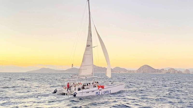 Cabo San Lucas: Whale Watching Experience on Catamaran - Pickup, punctuality, and avoiding the most common day-of headaches