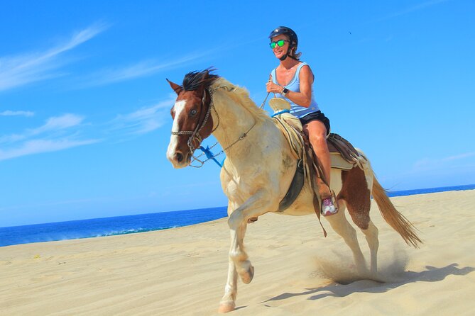 Cabo Shore Excursion: Beach Horseback Ride & Tequila Tasting - Price, value, and the extra $25 park fee you’ll want to budget